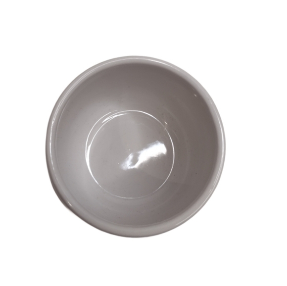 NEW Celestial Succulent Cactus Mini Planter - Picture 3 of 3